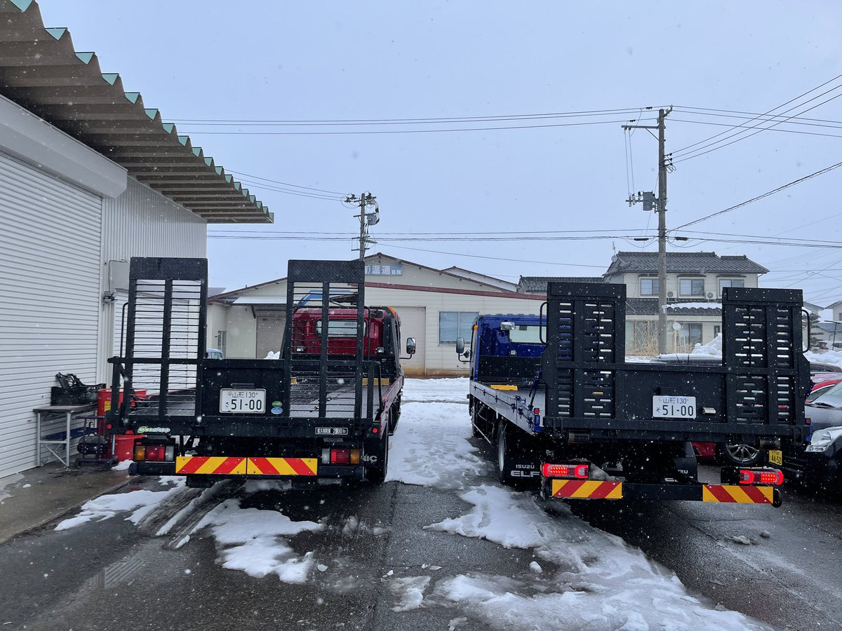 新旧エルフ⭐️