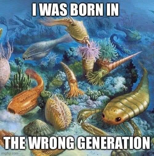 NerdCastle's tweet photo. #DungeonsAndDragons #DnD #NerdCastle #NerdCastleStore #Meme #TTRPG #TableTop #Cambrian https://t.co/ekl6juC8gj