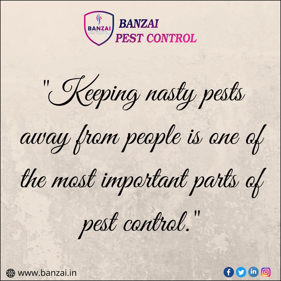 BanzaiPest_'s tweet photo. π "Keeping nasty pests away from people is one of the most important parts of pest control."
.
#pestcontrolservice #delhi #pitampura #dwarka #saket #gurgaon #noida #greaternoida
#BanzaiPestControl
π +91-8882227979/9355799799
π§ info@banzai.in
π https://t.co/gYiJLeHA5F https://t.co/kPAVWNh1UT