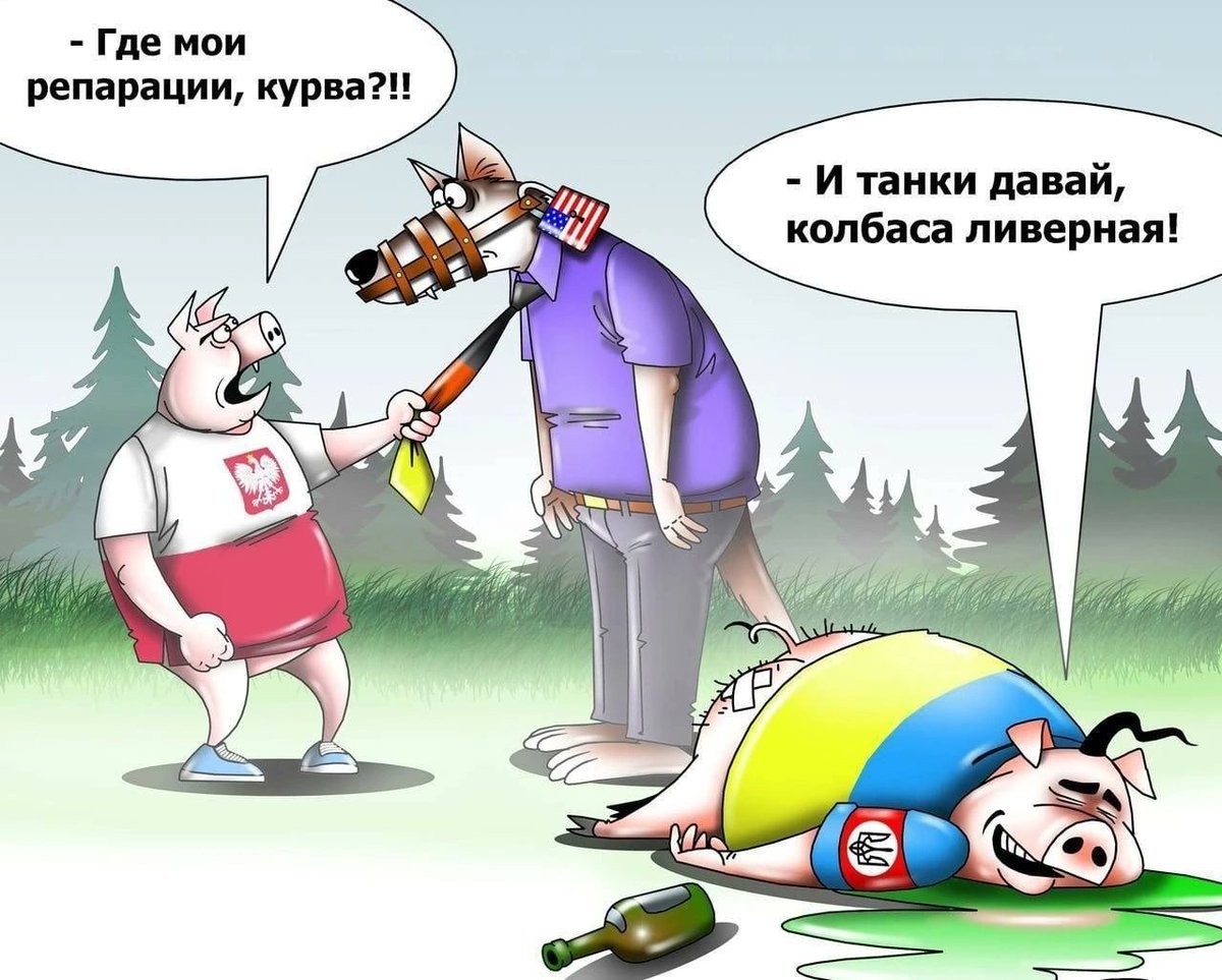 Крокодил Эрдогана (@radio_barista) on Twitter photo 