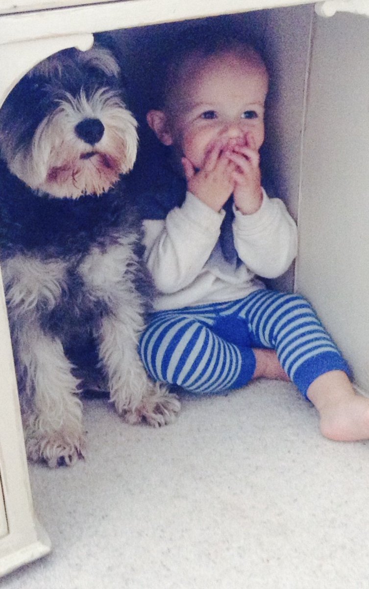 Jo McGrath FRSA tweet media