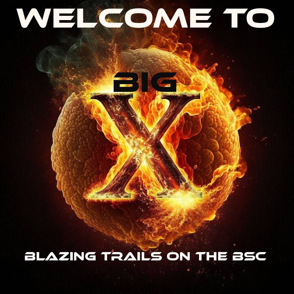 BigX_Official's tweet image. GM $BIGX. Happy weekend to you all.
Sit back and enjoy the ride as we head towards the much anticipated AMA with @BearsorTears. 

Lots to talk about.

#BSC #BigX #BSCGems #Crypto