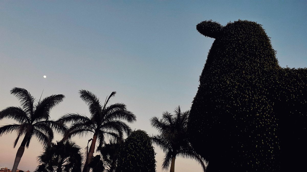 El cordero y la luna.
🐑🌔📸
#travelphotography 
#travelphoto 
#Tenerife 
#IslasCanarias 
#CanaryIslands 
#Canarias 
#canarias100x100