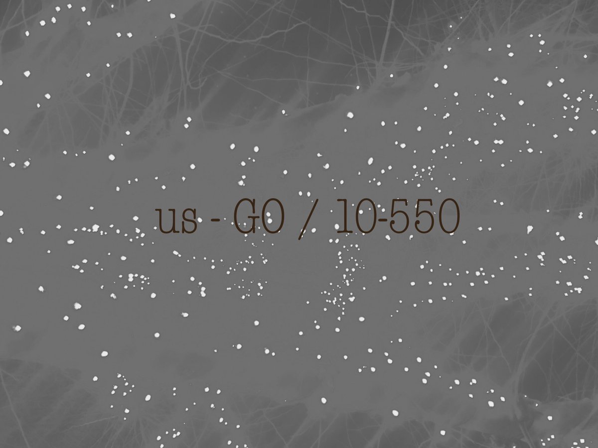 SHAIGAICHAN's tweet image. #ultrasmall