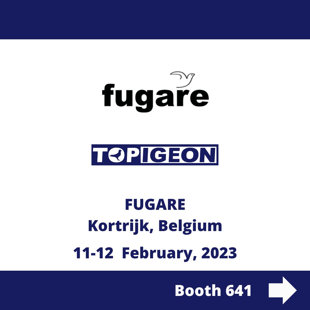 TOPIGEON1's tweet photo. FURAGE 2023 - We are coming! #fugare #topigeon #racingpigeon #pigeonracing https://t.co/OkVOKh7E5M