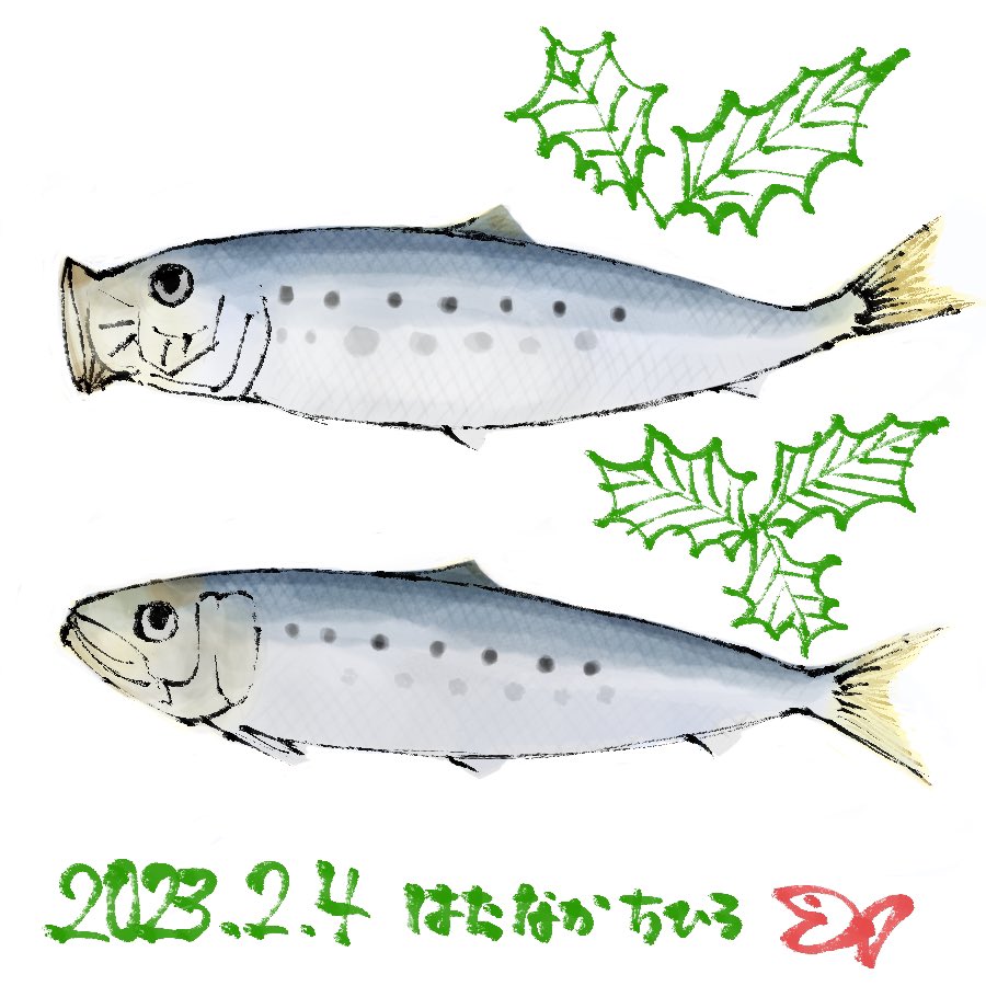 昨日は節分でした。
1日遅い柊鰯！
#柊鰯　#いわし　#イワシ　#sardine
#Sardinopsmelanostictus #魚好き