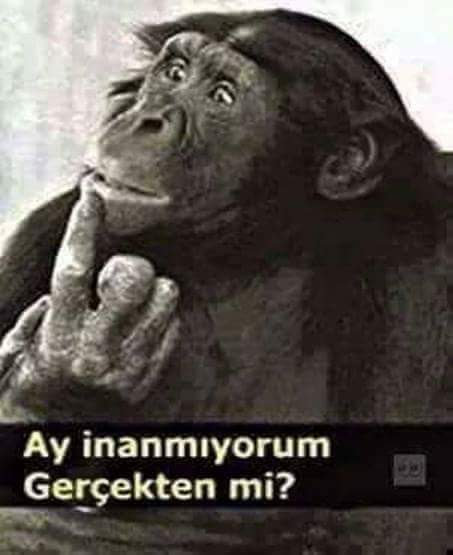 EnginOnde's tweet photo. @GCengizhanik @degirmencirfan https://t.co/dD7J62dzuD