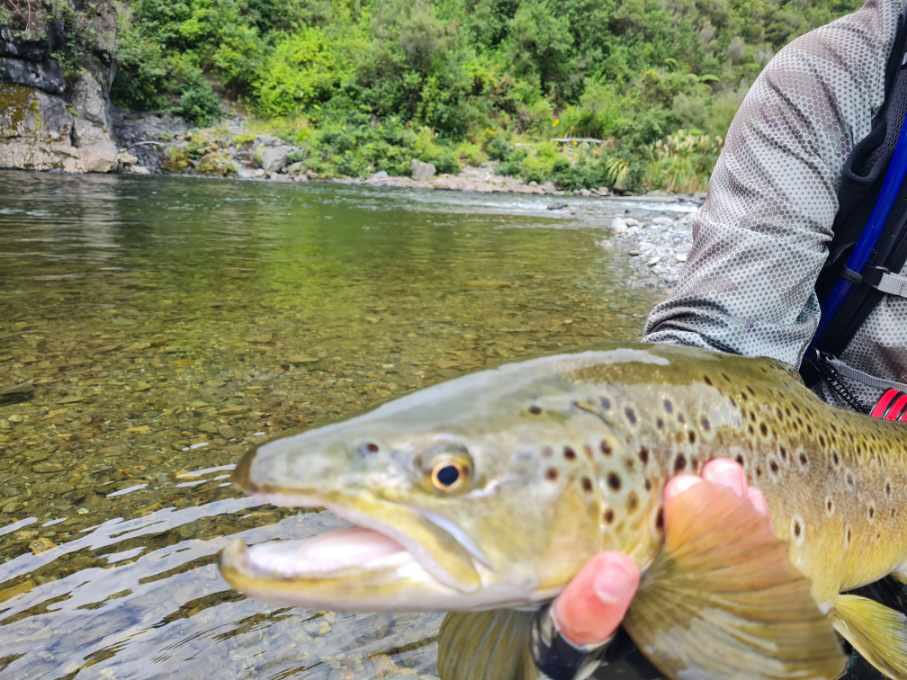 qrasio's tweet photo. Oh Hi! 🎣 https://t.co/jrzaIEQFhI