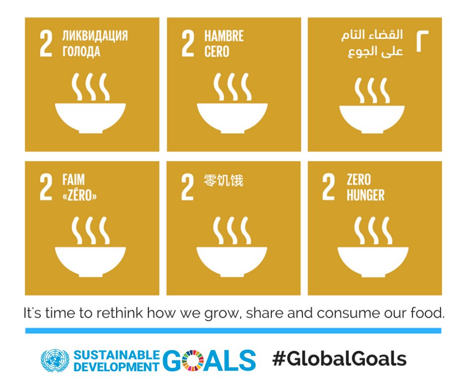 GlobalGoalsUN's tweet photo. Global food prices dropped for the tenth consecutive month in January, according to @FAO 
🌾
International wheat prices fell for the third consecutive month.

However, a new @FAO report forecasts that cereal supplies are still likely to tighten in 2022/23

https://t.co/LOt8RizRWE https://t.co/0xNuRifkmp