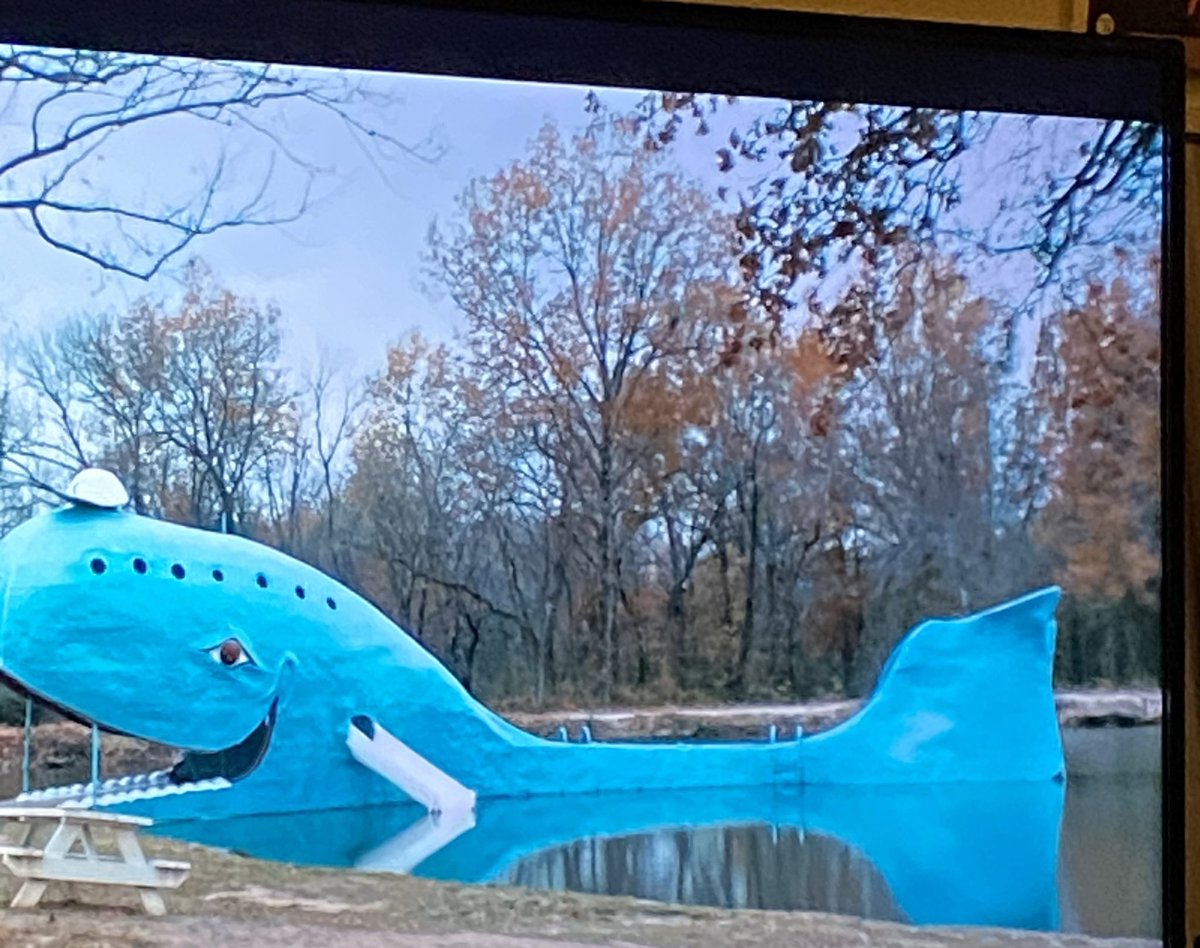 phalanges1121's tweet photo. Guys! There is a whale in @annabethgish new movie! #gishie #LittleDixie https://t.co/IeDiKge6Oe