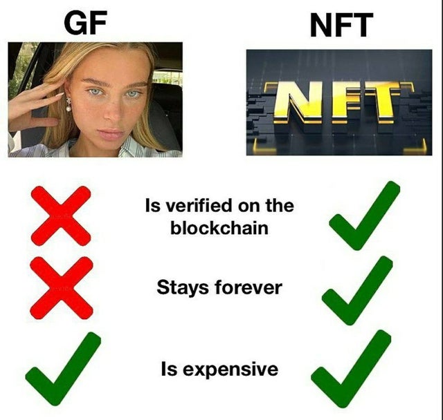 Hayle NFT tweet media