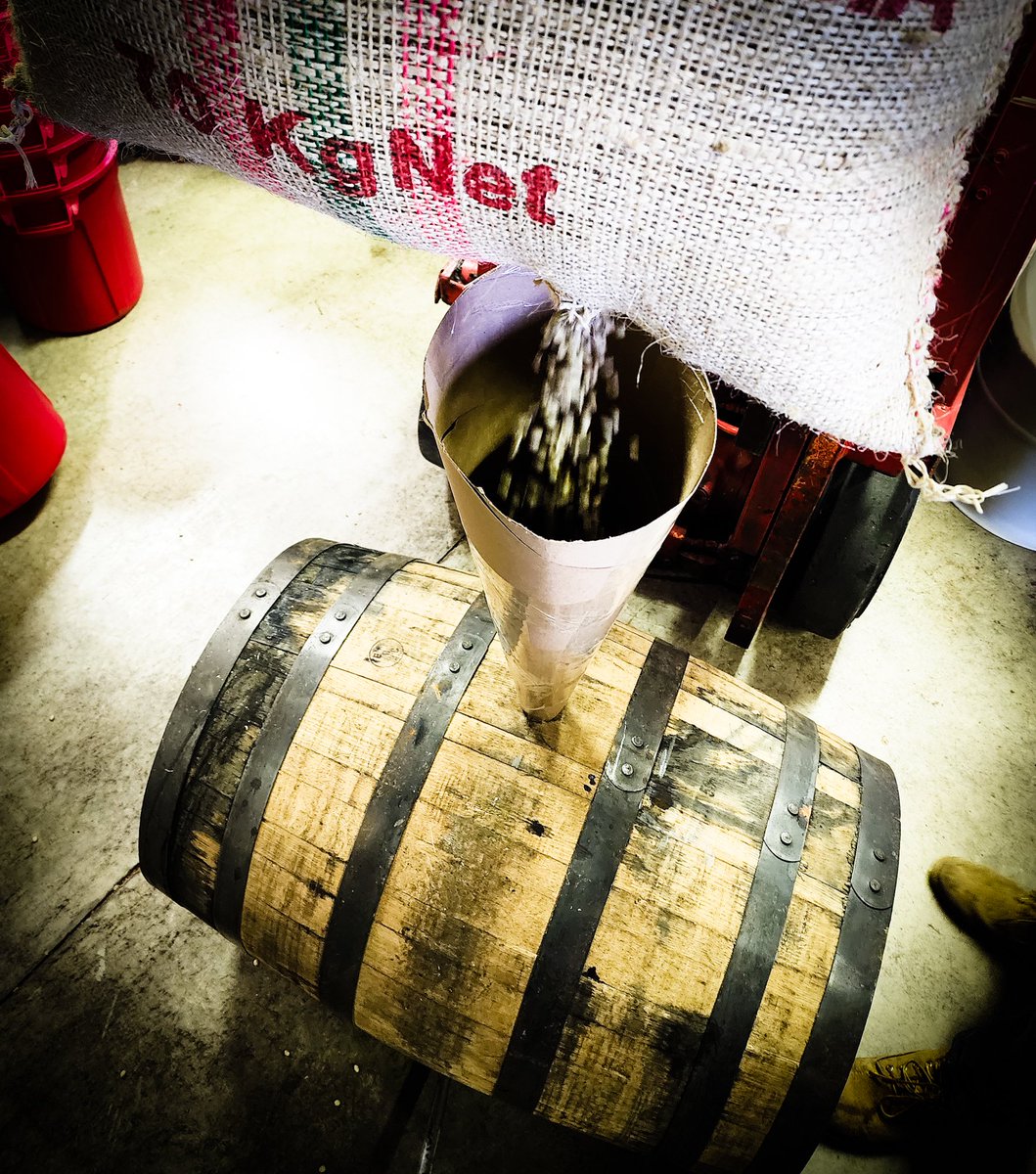 Raging Tiger Aging has begun!