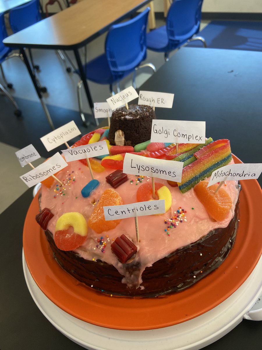 lhs_biology's tweet photo. Cell models pt. 2. #ediblescience https://t.co/3I7BXfWtfQ