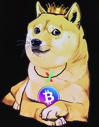 We have the best chart! #PLSD #PulseBitcoin