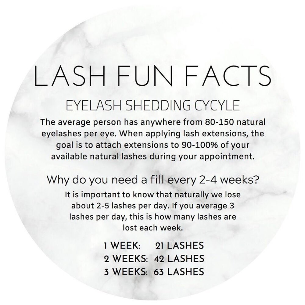 Did you know? #lashfact #lashfunfact