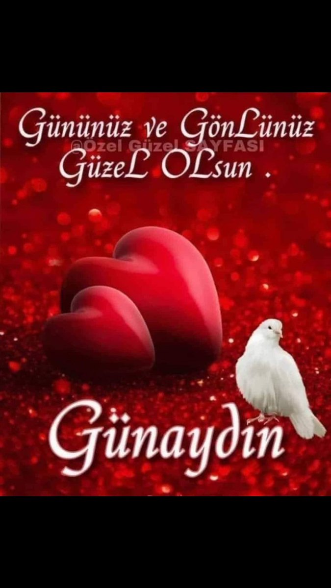 eminekhatun's tweet photo. @RrSarioglu Günaydın https://t.co/1OJflcoG86