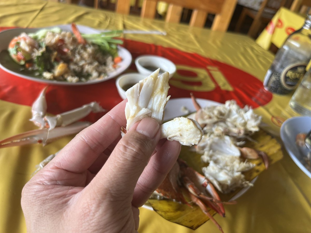 CurtisSChin's tweet photo. #Random. Am always struck by how visiting friends are a little clueless about where the #crabmeat comes from and how to get it out of the #crab 🦀 shell. I suppose it is a little #alien-like.
#lifeinAsia (& #Maryland too). #nomnom #Thailand
👋 @TanishaCarino @queenofwien https://t.co/bwFnK9WQhd