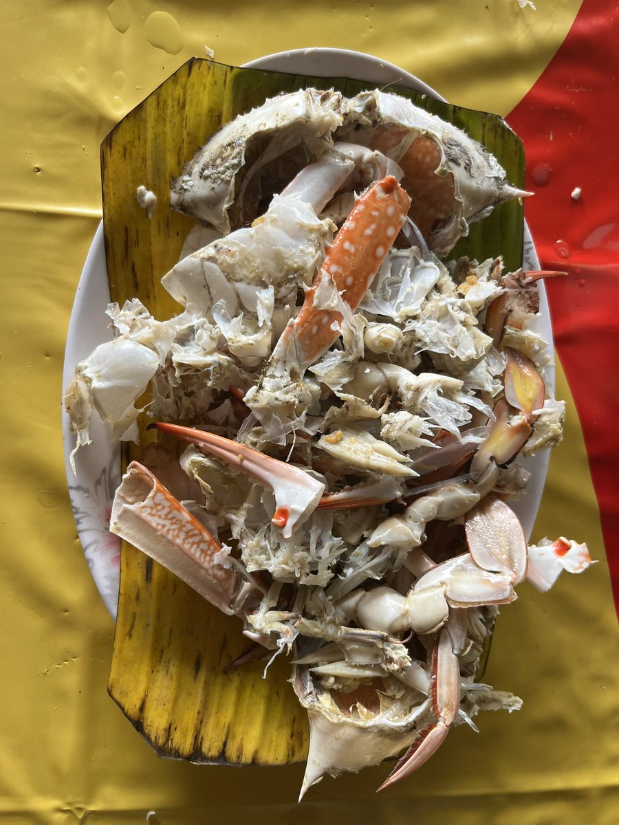 CurtisSChin's tweet photo. #Random. Am always struck by how visiting friends are a little clueless about where the #crabmeat comes from and how to get it out of the #crab 🦀 shell. I suppose it is a little #alien-like.
#lifeinAsia (& #Maryland too). #nomnom #Thailand
👋 @TanishaCarino @queenofwien https://t.co/bwFnK9WQhd