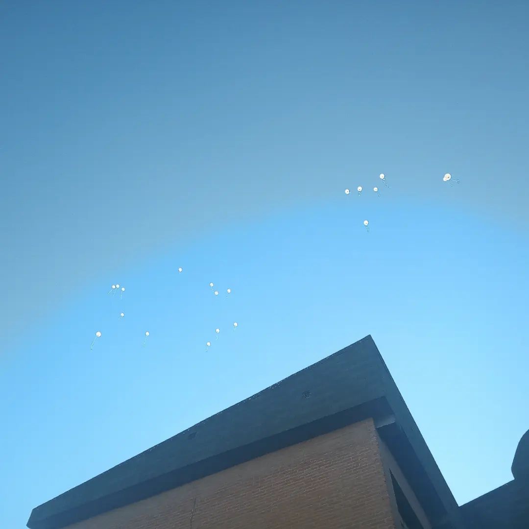 El 30 de enero fue día de la paz y desde nuestra escuela  con la colaboración de la AMPA prepararon un acto donde los padres,abuelos y peques hemos cantando y deseado que se acaben las guerras. Por último,nuestros peques soltaron unos globos al cielo.