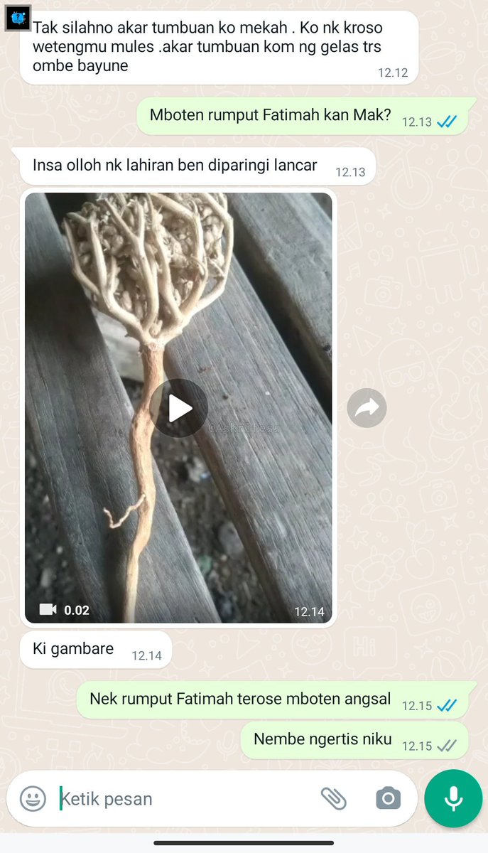 [Askrl] Ini akar rumput Fatimah ga sih,jadi takut Ya Allah😭 Ini mertuaku ngasih aku gituan aku kudu gimana