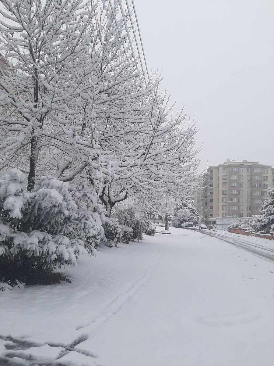 Bosss52224937's tweet photo. Yılın ilk karı ❄❄  Çocuklar gibi şen başlayalım günee🤩🤩
Günaydınnnnnnnn🤗😍 https://t.co/G33koYBlJp