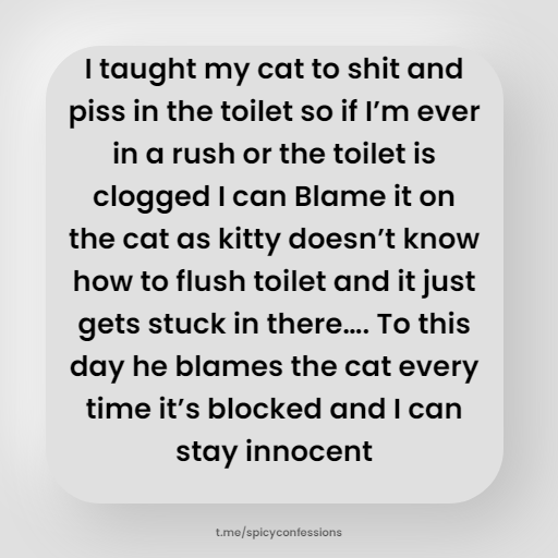 Spicyconfession's tweet photo. Maldivian Confession https://t.co/VdZgE4OXiW