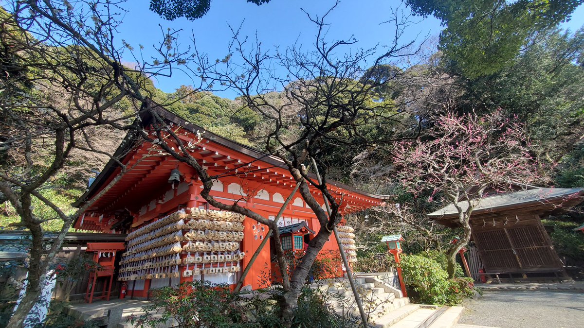 HIRIO_S's tweet photo. #合格祈願
#荏柄天神社 https://t.co/QgHjpXedbF