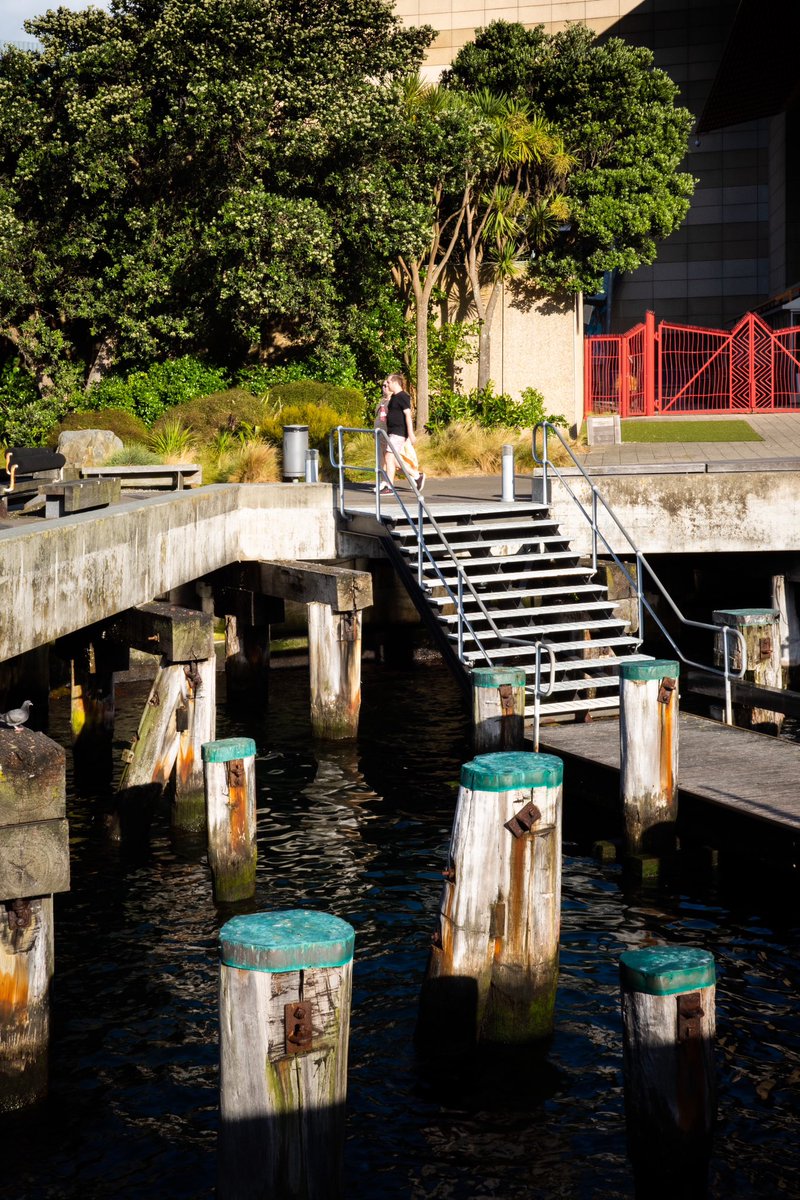 Pillars of joy

#wellingtonwaterfront #wellingtononagoodday #waterfront #walkwithme #lifeinmotion #contrasts #ricohgr3x #wellington