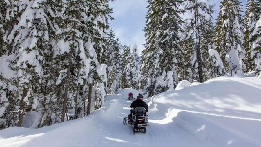 La scelta coraggiosa della famiglia Recafina che gestisce la storica struttura, una delle più famose delle Dolomiti.
#Dolomiti #Cortina #impianti #rifugiodibona #accesso #motoslitte #FiammettaCupellaro #AltriSpazi #Sherpa
sherpa-gate.com/altrispazi/a-c…