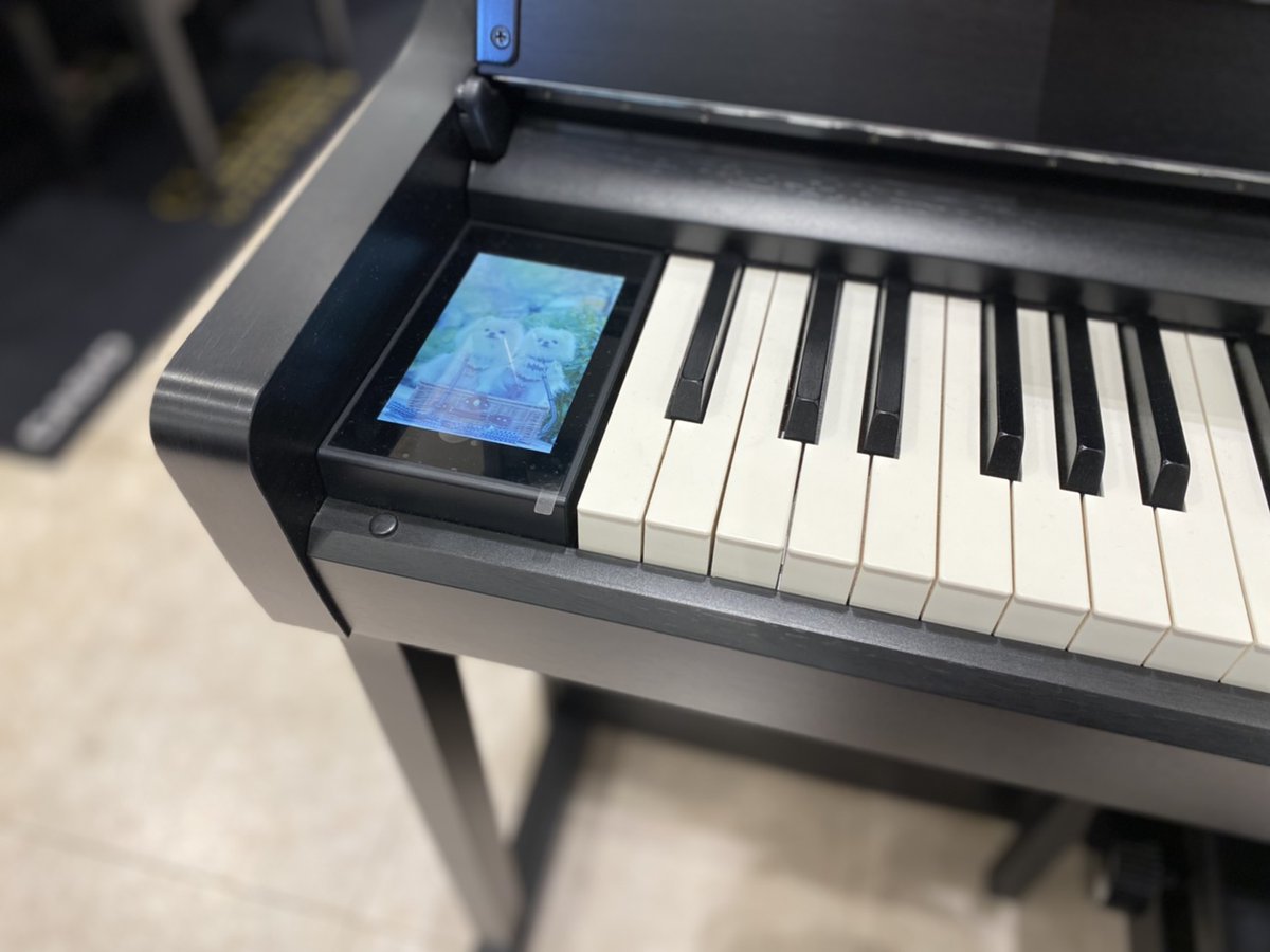 shima_kuma_aeon's tweet photo. 【#電子ピアノ】#KAWAI #CA901 をベースに、カワイと島村楽器のコラボレーションモデル #SCA901 を展示中🎹SCA901には、こーんな可愛くて癒しのスライドショーもあるんです🐈
詳細はこちら☞https://t.co/ZBvo3miPI9 https://t.co/uXsWGdiOzD
