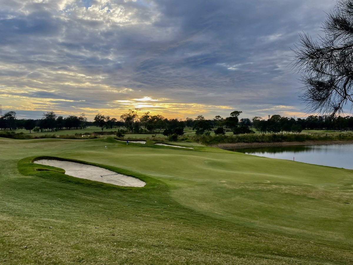 Paul Rigby tweet media