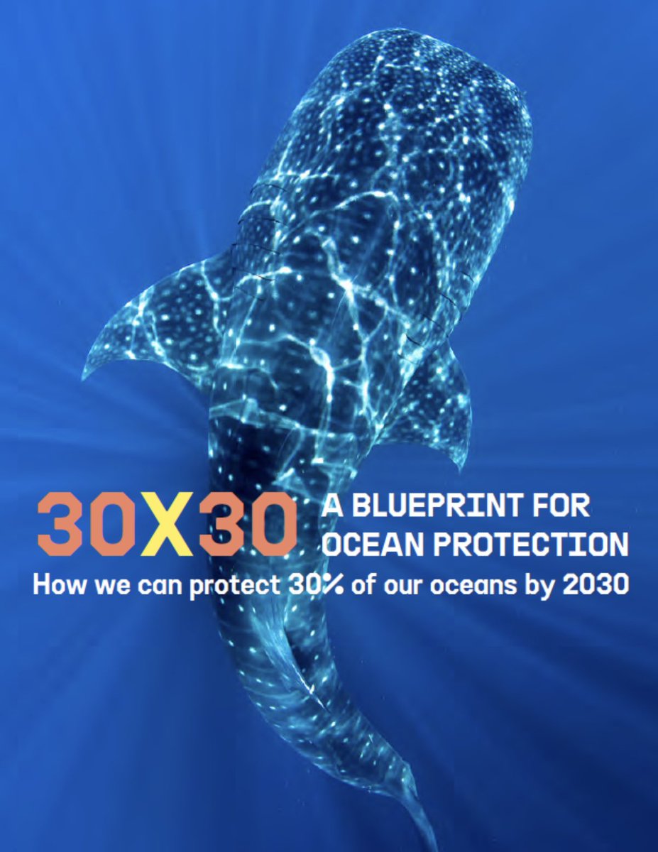 We need to do more… I signed the petition to urge world leaders to take action and secure a strong #HighSeas Treaty to protect the Great Ocean Commons. You can add your name: on.only.one/high-seas-tw-ps @onlyone @highseasallianc @RiseUp4theOcean #RiseUp4theOcean