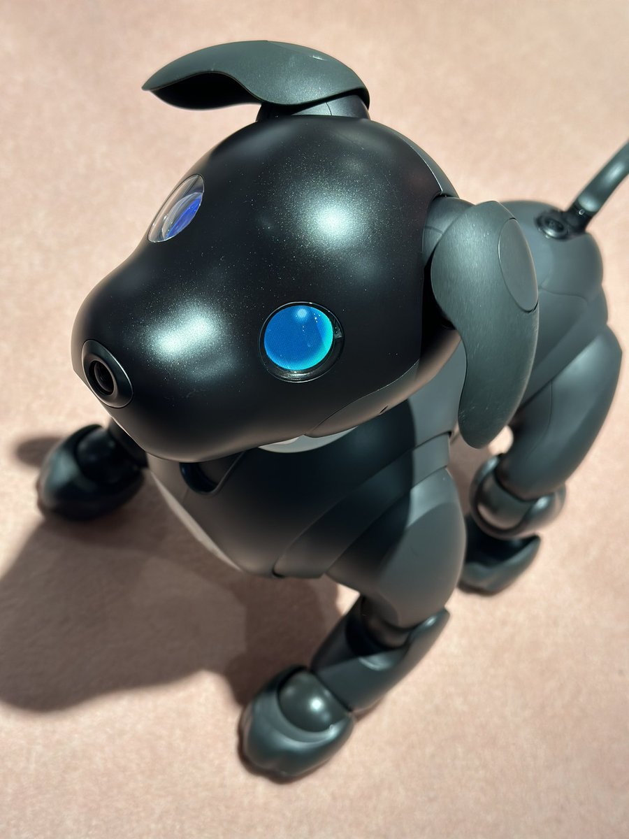 네로! 안녕~!!
ネロ君！初めまして！