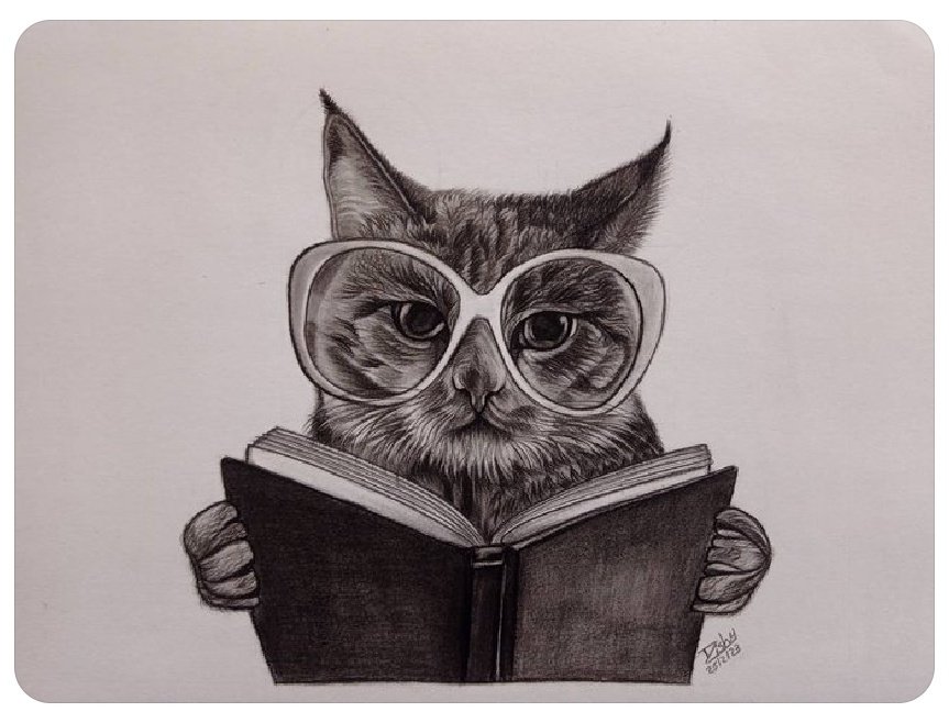 Good morning friends, hope you have a awesome day 🌻💙

Check My new pin 🦁
#artoonty