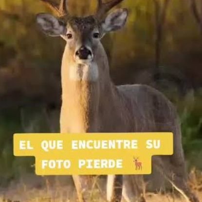 hanbinpiola128's tweet photo. Deja tu puntito si fuiste cuerneada por @TPST_twt
#TEMPEST #HUELGA https://t.co/Uj9Ize6zMR
