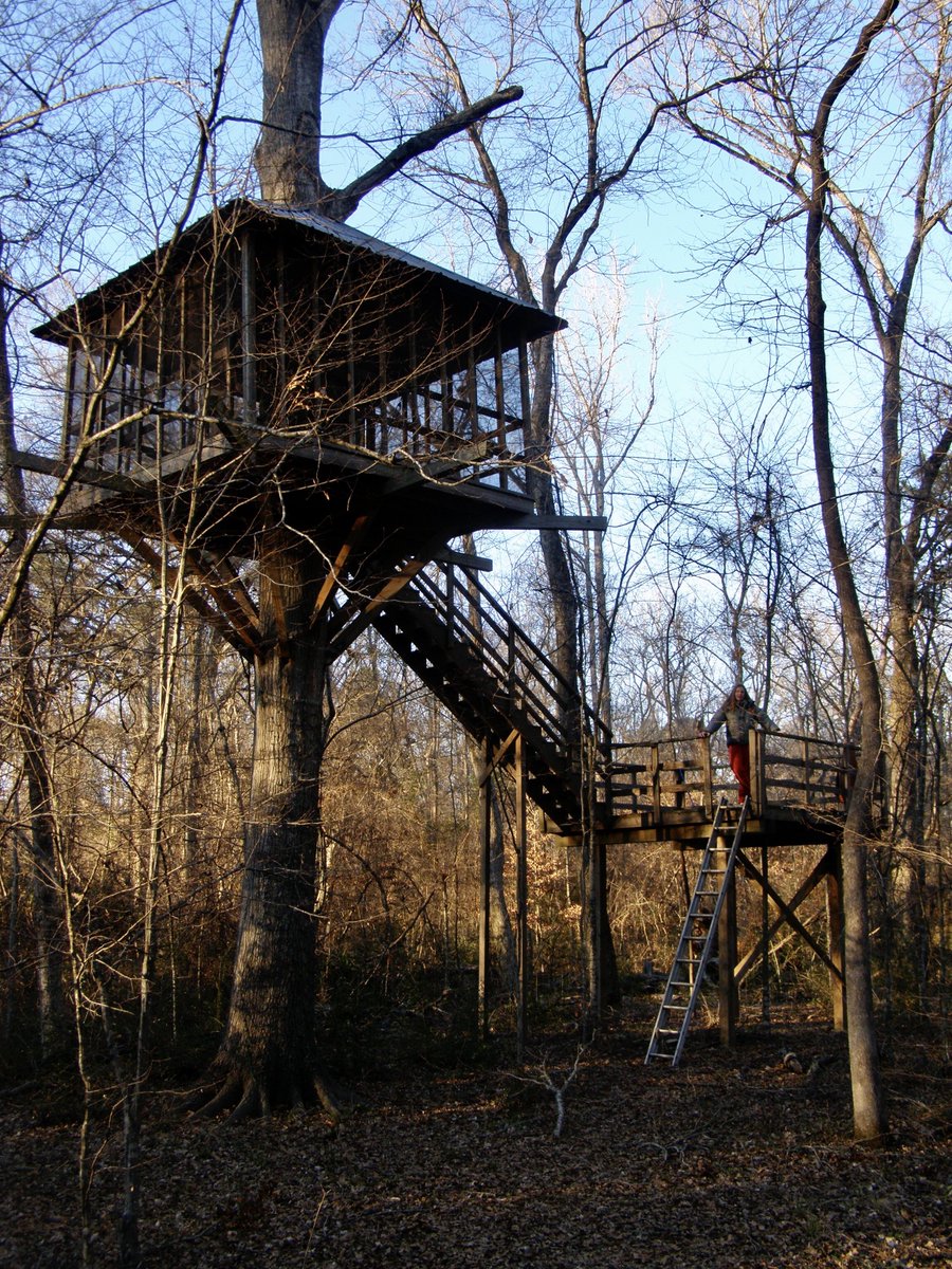 Wifont's tweet photo. built this one a while back #treehouses #outdoors #builtit https://t.co/M7aKt5xnp2