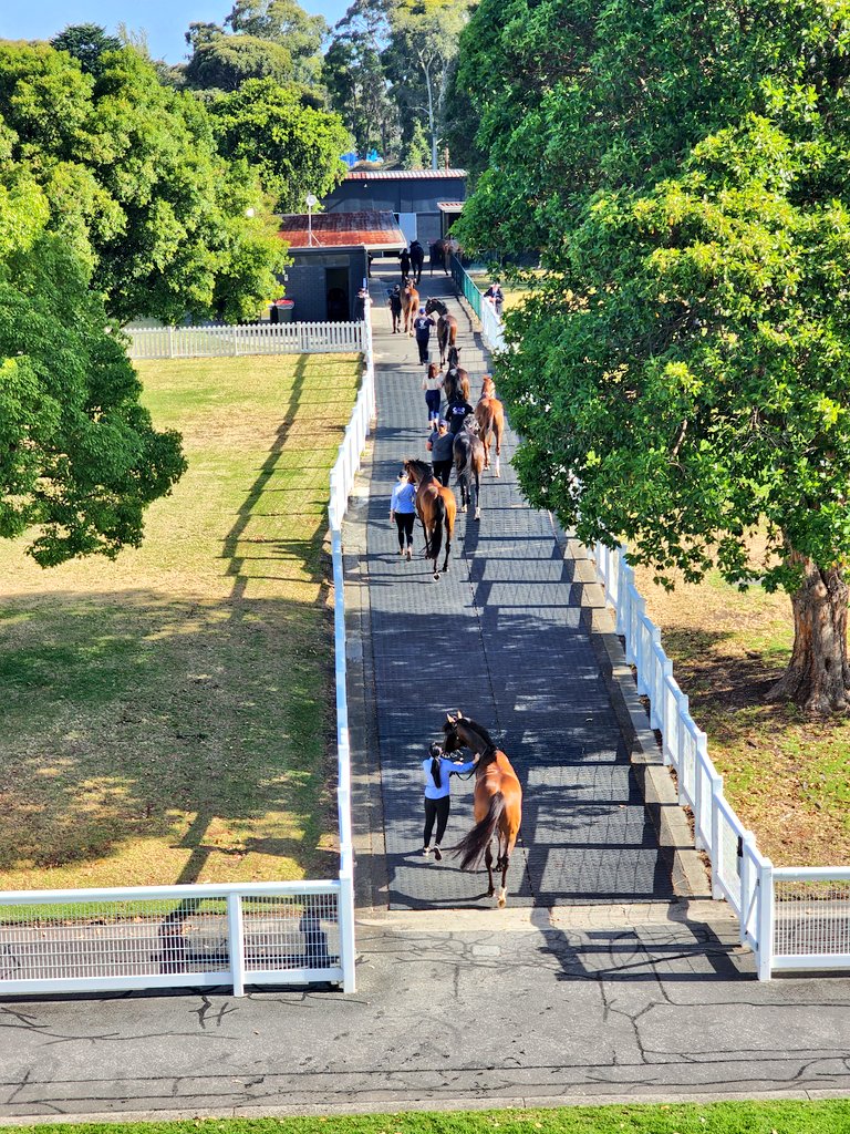 Jenliye's tweet photo. #Sandown a nice place to be #PastThePost #HorseRacing #MRC https://t.co/PGfXOqiDj1