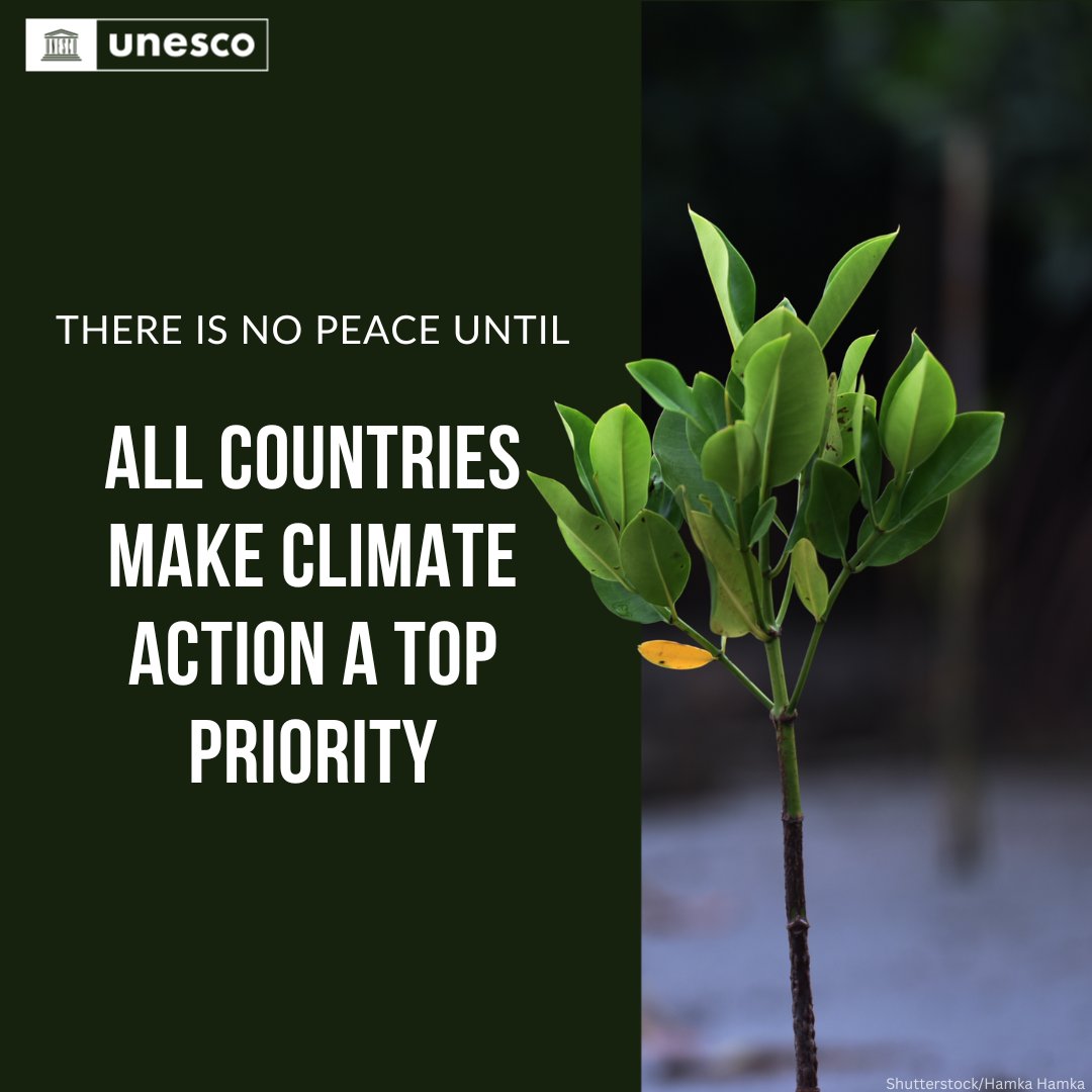 The climate crisis is a humanitarian crisis, affecting the most vulnerable who contribute the least to it.

It’s time to see REAL #ClimateAction, not empty promises.

unesco.org/en/climate-cha…