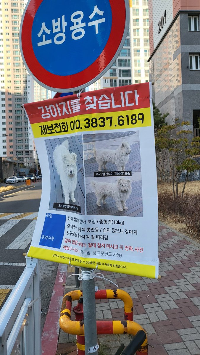 yuhacos03's tweet photo. 부산에서 혹시 이렇게 생긴 아이를 보신분은 사진에 나와있는 번호로 연락을 주시면 감사하겠습니다. 저희집 아이는 아니나 보호자님의 마음이 어떨지 상상도 안 되어 조금이나마 도움이 되고자 이렇게 올립니다 https://t.co/nqXuhfMVMB