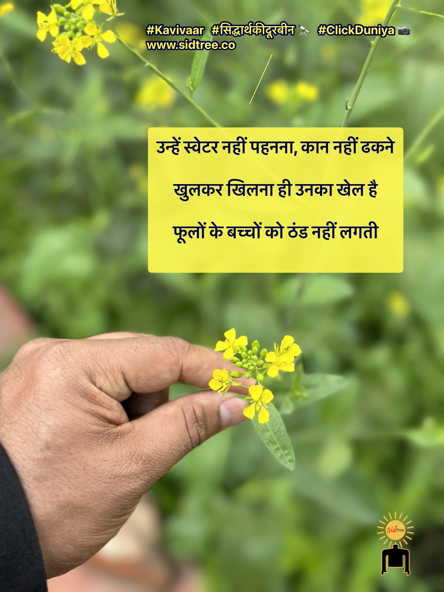 sidtree's tweet photo. उन्हें स्वेटर नहीं पहनना, कान नहीं ढकने
खुलकर खिलना ही उनका खेल है
फूलों के बच्चों को ठंड नहीं लगती
🌼🌸🌺🌻🪷
#सिद्धार्थकीदूरबीन 🔭
#ClickDuniya 📷
#SidTree का #Kavivaar https://t.co/ks7qilla5n