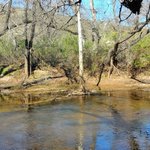 Image for the Tweet beginning: #hike #hiking #hikingadventures #River #SanDiego