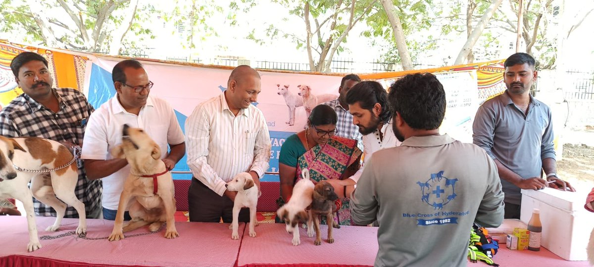 MC Manikonda on Twitter "Vaccination drive for stray & Pet dogs