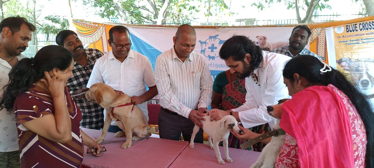 MC Manikonda on Twitter "Vaccination drive for stray & Pet dogs
