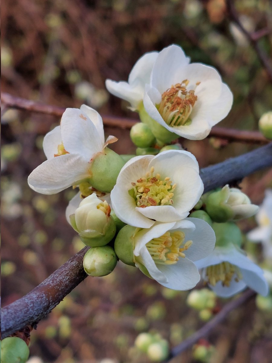 HoitolaLeena's tweet image. Lontoossa kevät, päivällä +12C. Metrot ja bussit toimii. Paljon nähty ja koettu, musikaalin sijaan Garagessa Von Hertzen Brothersin keikka. Katsojat +50 progemiehiä, olimme poikkeus joukossa. #proge #london #garage #vonhertzenbrothers