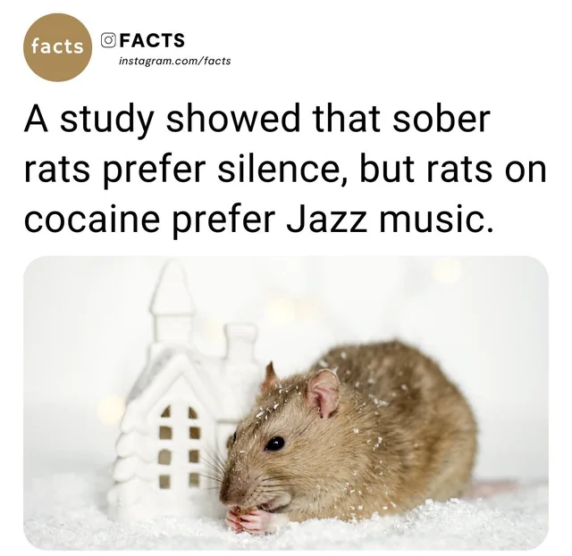 WallStreetMav's tweet photo. The US govt actually used tax dollars for this study.🧐 https://t.co/k9VH8Fpie5