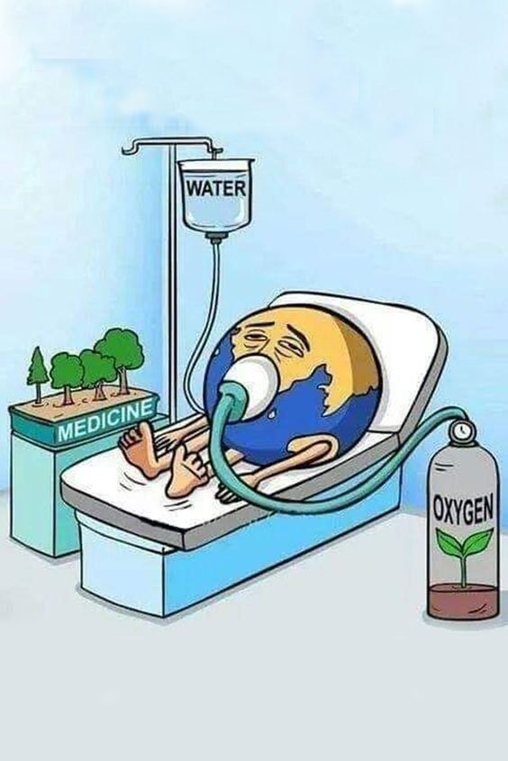 PlasticFreeGLT's tweet photo. There is no place to live other than Earth; save the Earth!🌍 https://t.co/atKyW9OomN
