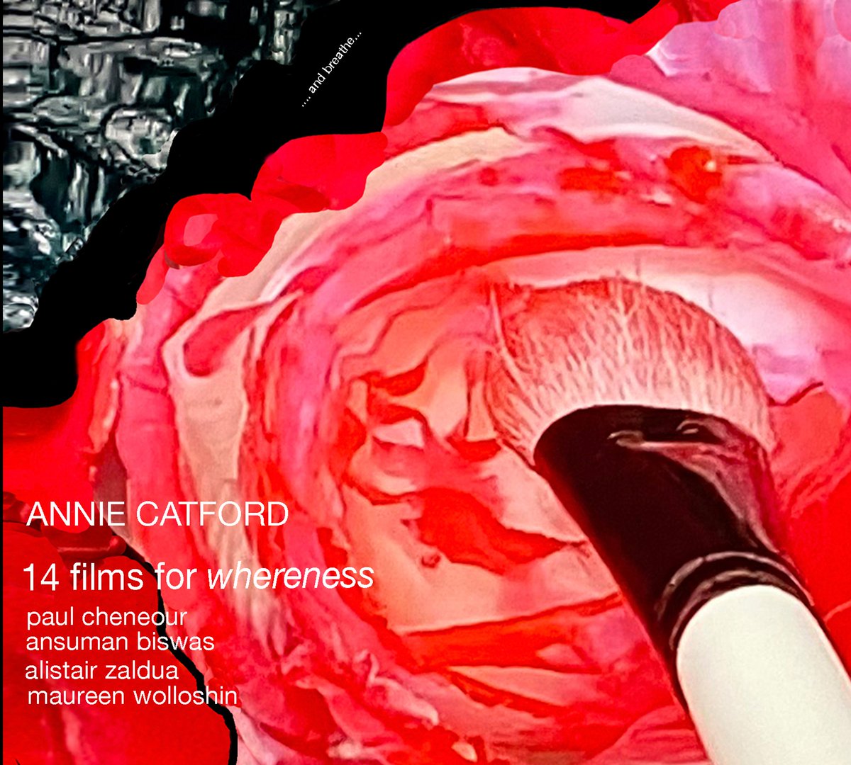 I am thrilled to announce the new 14 'whereness' Films DVD by artist Annie Catford is now available from redgoldmuisc.com/shop
