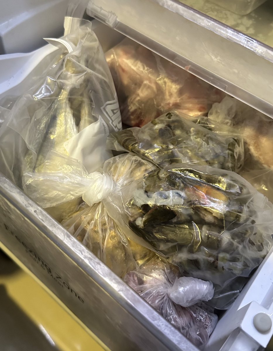 Kalo sayuran &amp; bumbu ditaro di container
Protein: daging, buntut, udang, dipisahin per 1x masak, masuk plastik aja karena kalo pake container makan tempat
Ikan asin: ditaro di zipper bag pisahin per jenis, yang kering di laci kulkas, yang agak basah (peda, japu, cumi) di freezer.