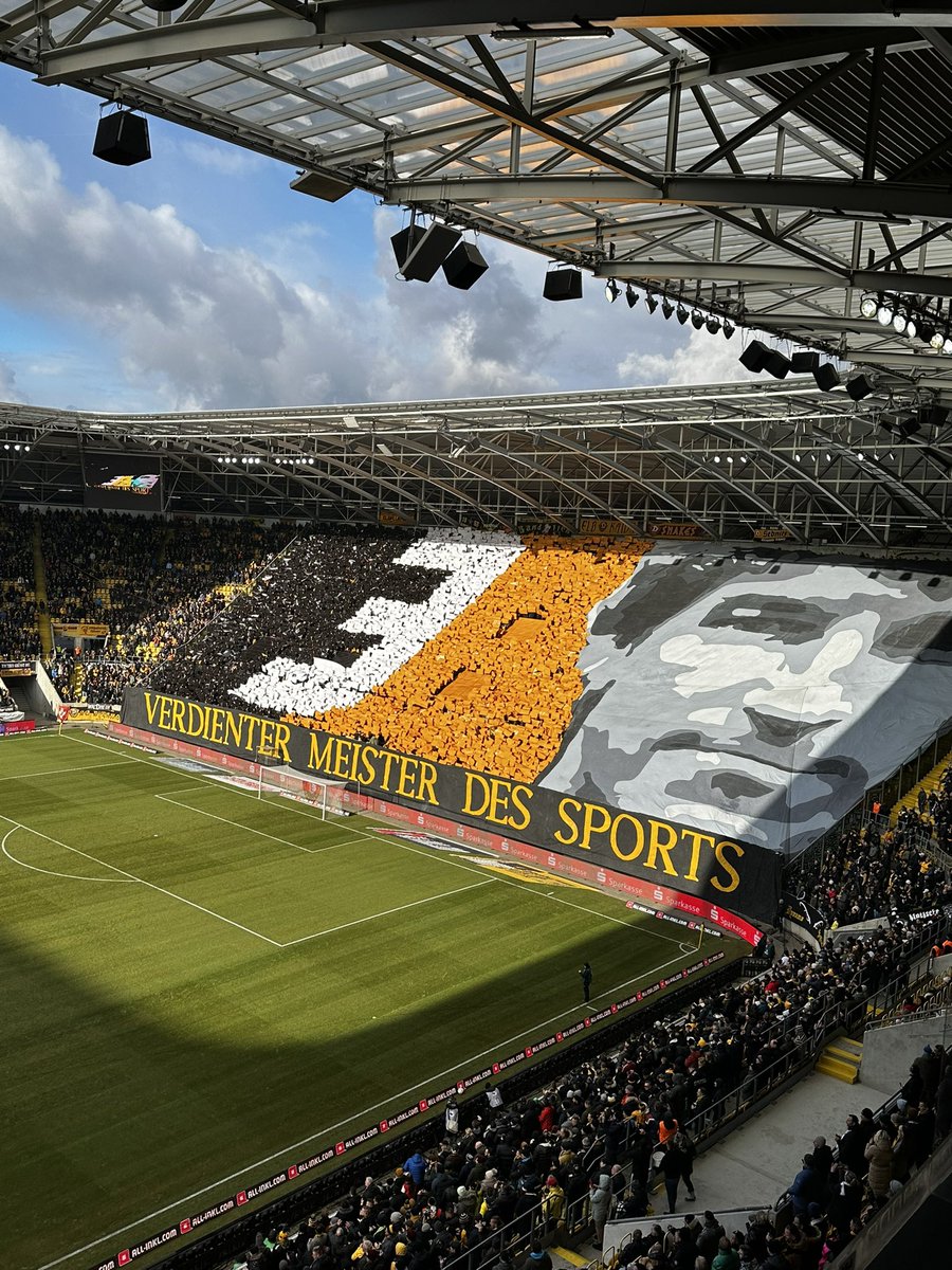 Für Dixie und Dresden! 💛🖤 #sgd1953  #sgdhfc #choreo
