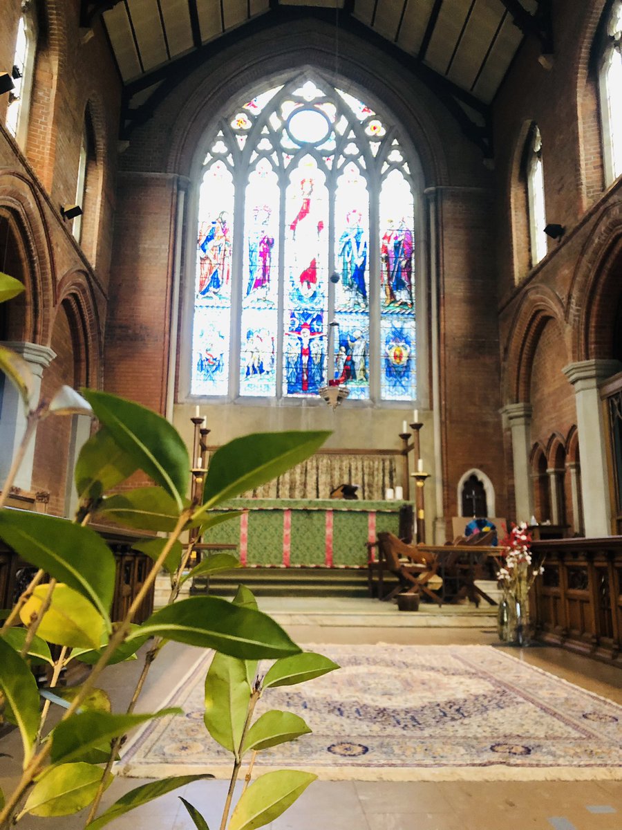 alexparkparish's tweet image. Back in the green #OrdinaryTime